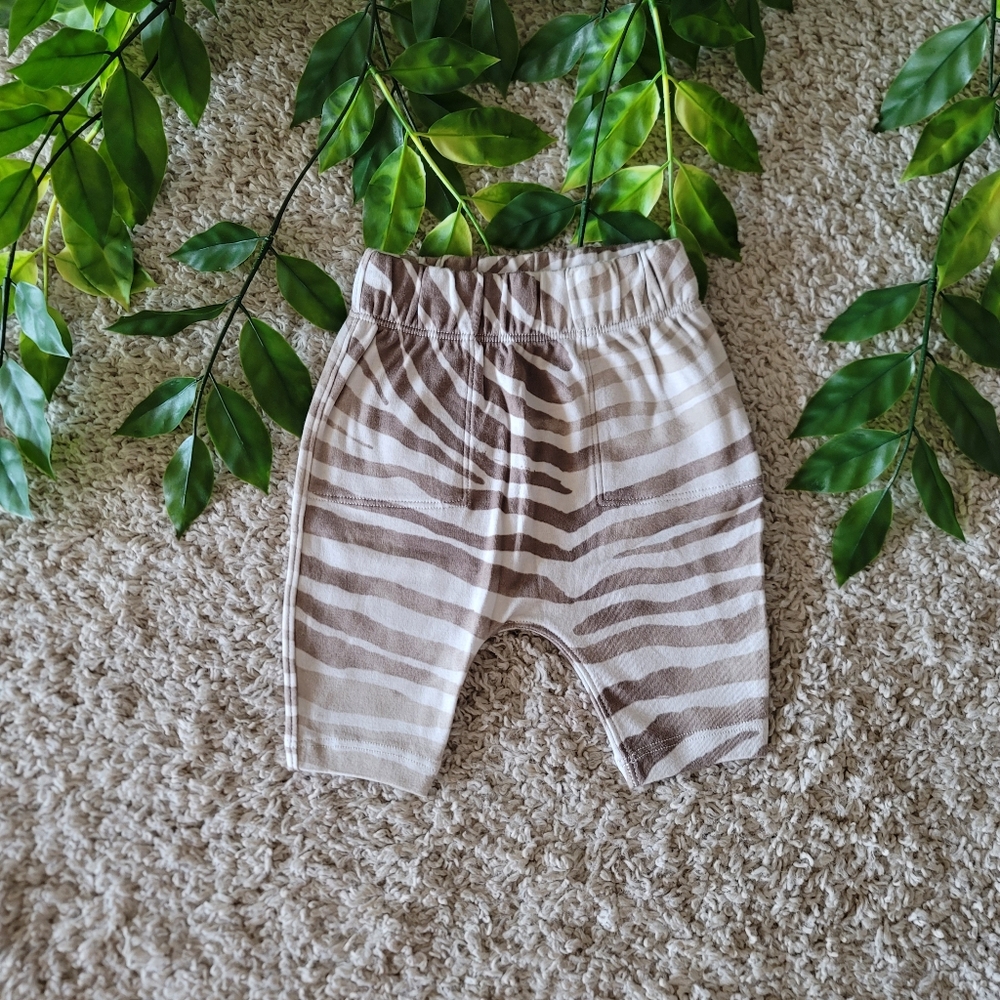 Baby Boy Zebra Striped Pants (0-3 Months)
